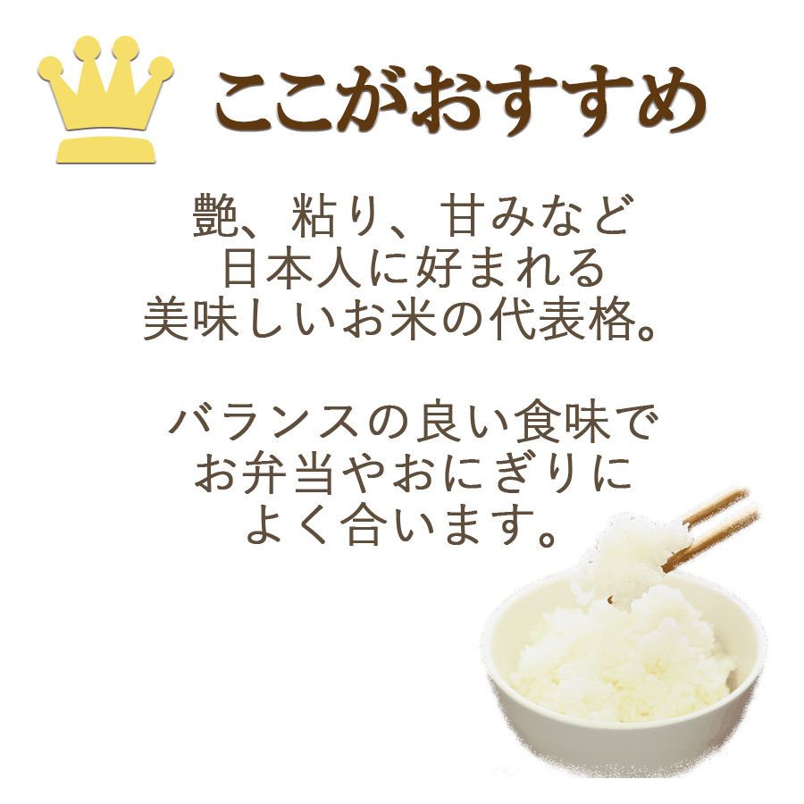 愛知県産こしひかりおすすめ
